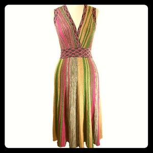 NWT Haute Rogue Metallic 70s Inspired Dress